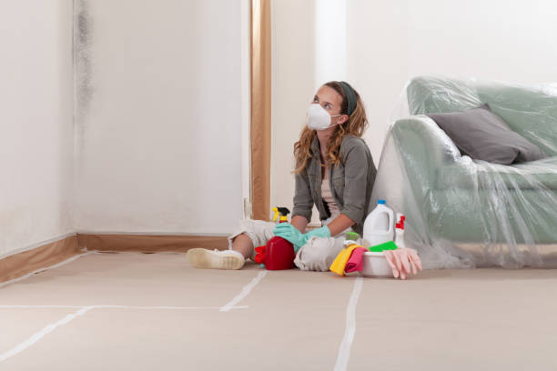 Reliable Mold Testing contractor in Drayden, MD by WQB Mold Removal